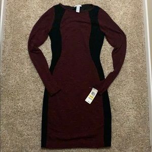Bar III bodycon knit dress